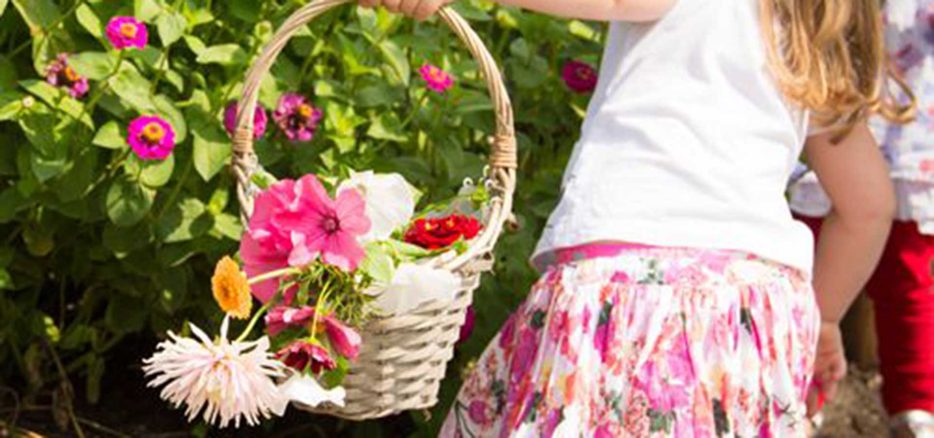 hoeve-ravenstein-bloemen-plukken