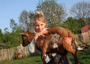 boerenbed-hoeve-de-pippert-knuffelen