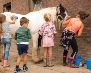 de-verloren-kost-dieren-verzorgen7