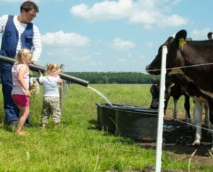 farmcamps-looveld-kamperen-bij-de-boer1