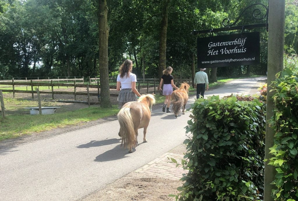 overnachten met kinderen in brabant
