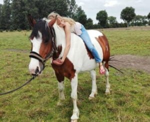 hoeve-brugge-boerenbed-paard