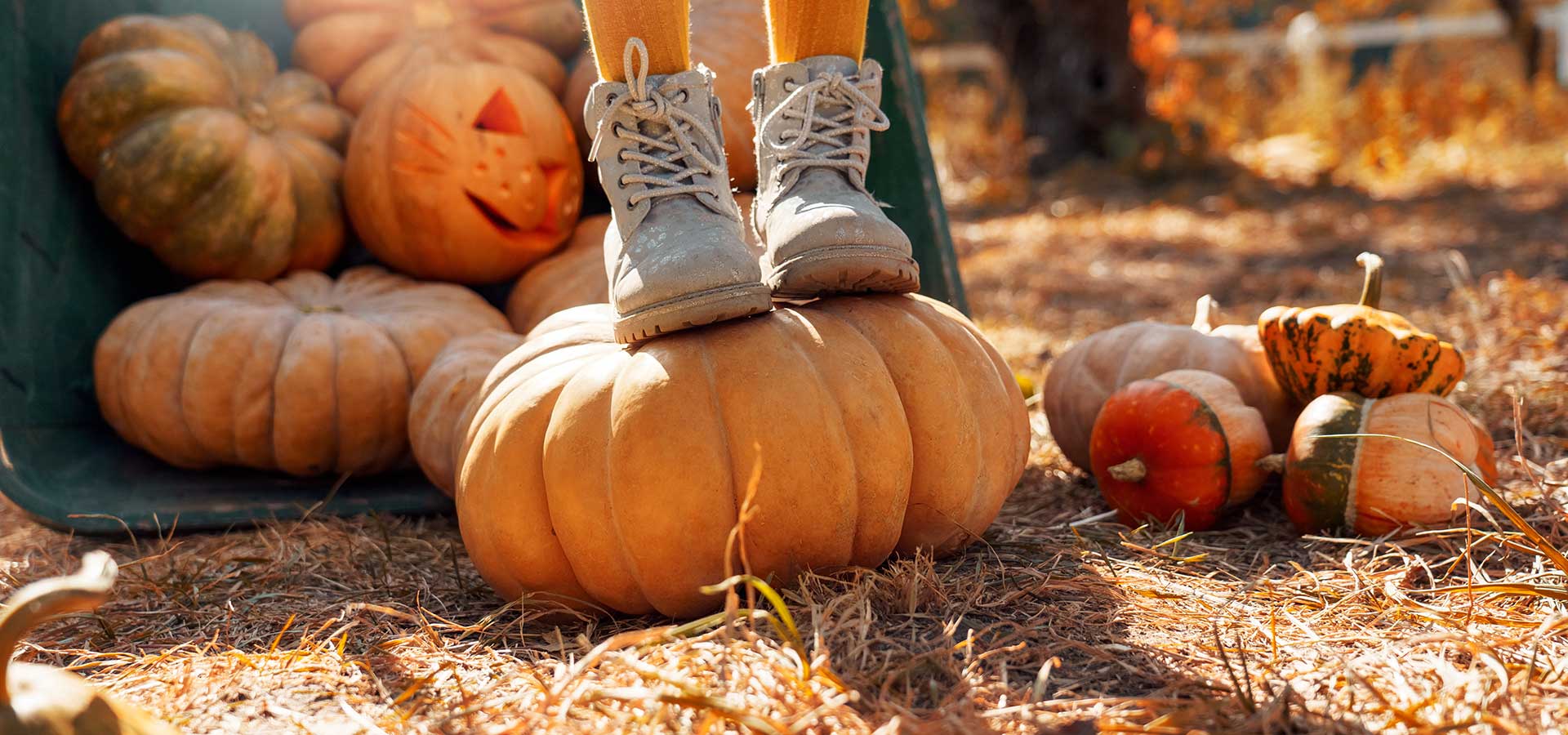 herfstvakantie-tips1