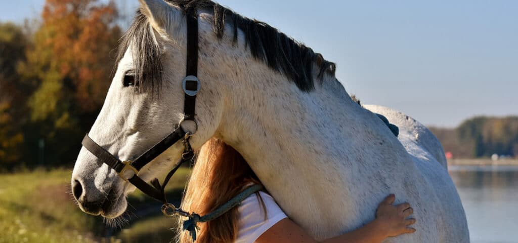 overnachten-met-je-paard-zoekdeboer