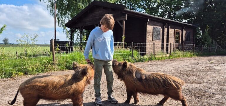 Zoekdeboer logeert bij… de Landhoeve op de Veluwe